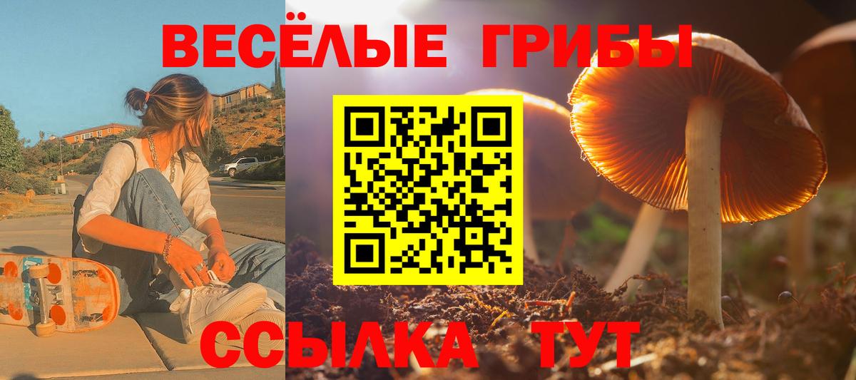 Лесозаводск  Псилоцибиновые грибы Magic Shrooms  Вход с VPN 