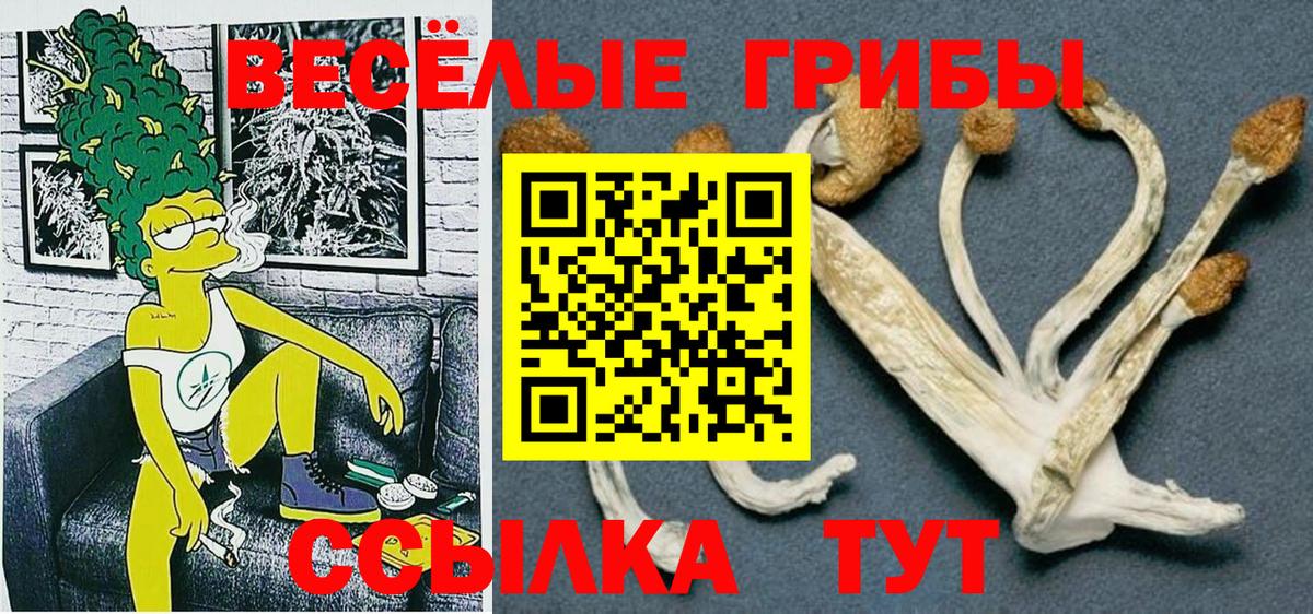Псилоцибиновые грибы Cubensis Лесозаводск
